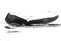 1537=GB01-33(14)_178.gif